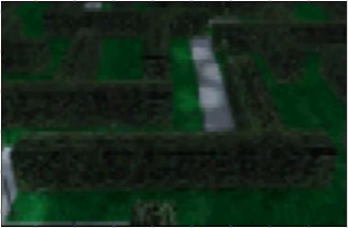 Park Hedge Maze (Лабиринт из живой изгороди в парке) Washington Park, Washington DC